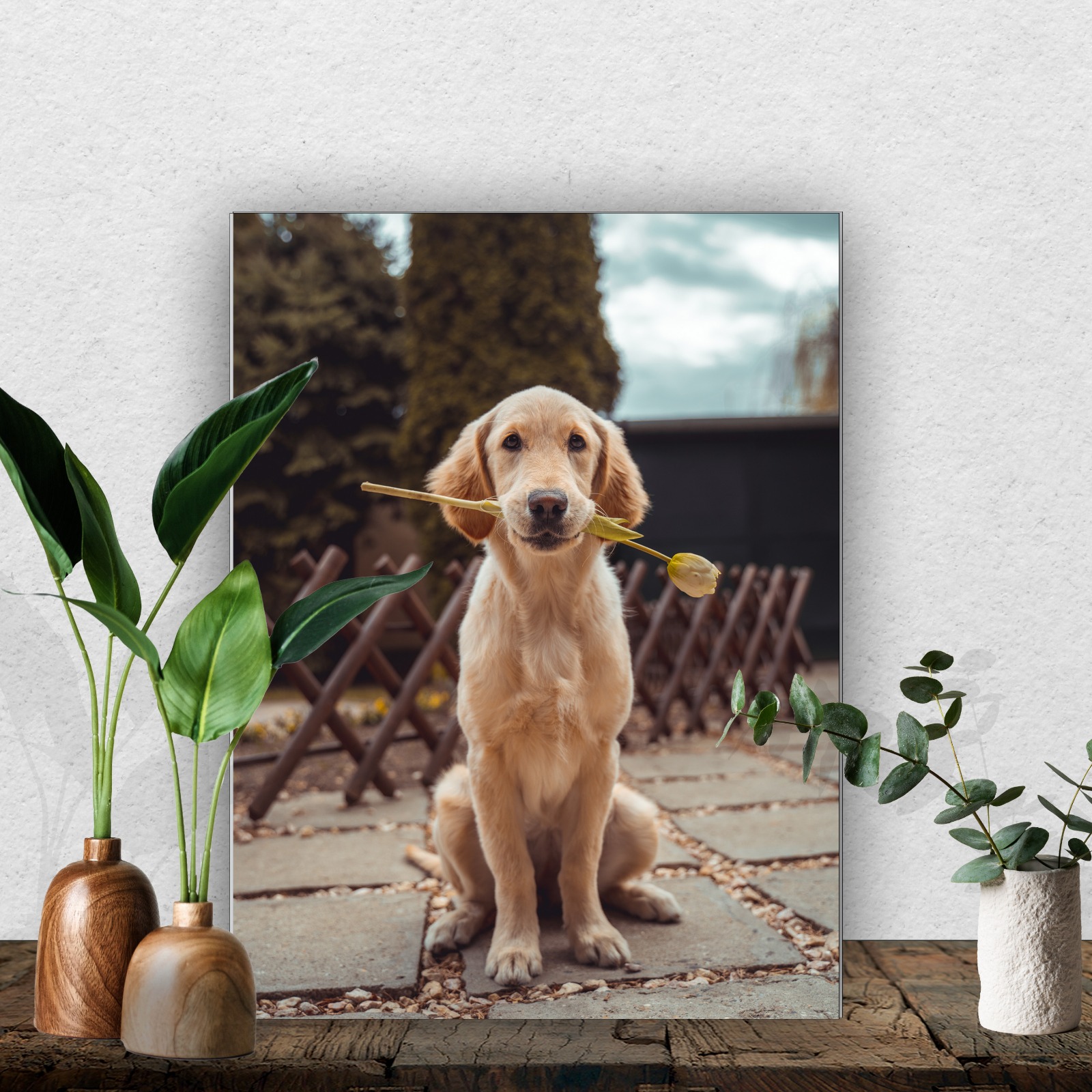 קאפה בעיצוב אישי