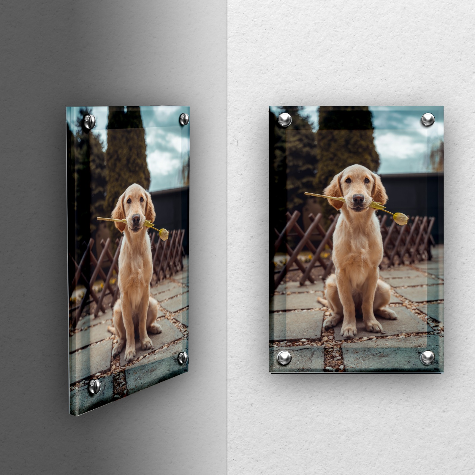 הדפסה על זכוכית